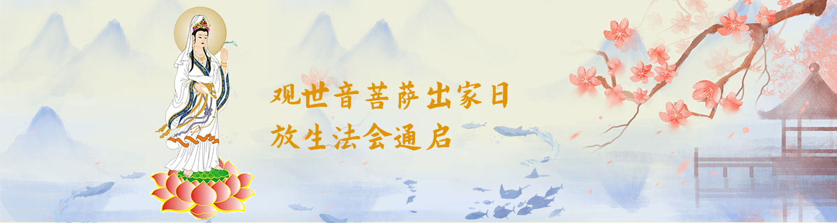 Դط¡