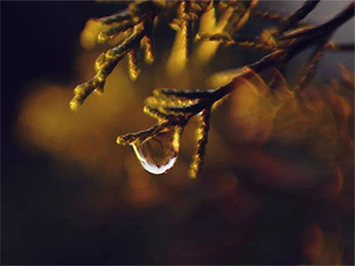 无常才是人生的常态,那什么是无常? 无常才是人生的常态,那什么是无常?