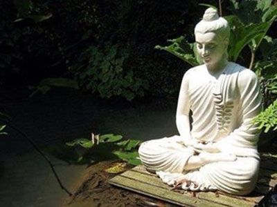 倾听生命的呐喊 倾听生命的呐喊