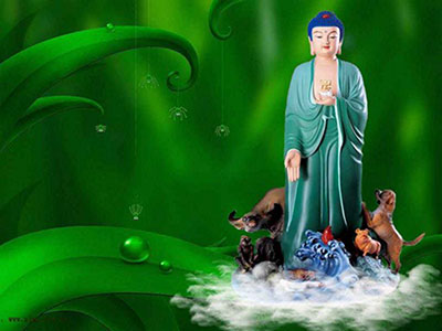 ������������������������