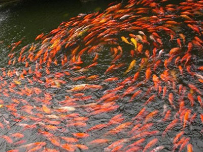 ��Ե��ݾ����������ɾ;�������