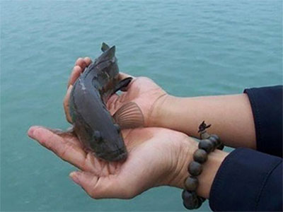 ������������δ�����