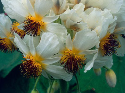 用一颗简单的心去放生 用一颗简单的心去放生