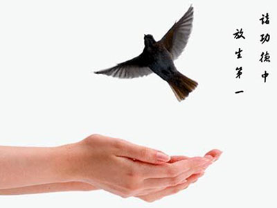 放生之意义是使大家发心护生 放生之意义是使大家发心护生