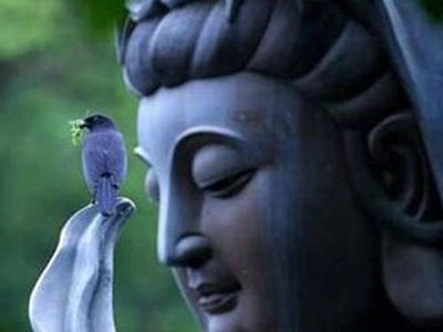 经常放生的人的面相 经常放生的人的面相