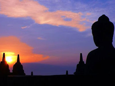 护生的习惯 | 口业篇 护生的习惯 | 口业篇