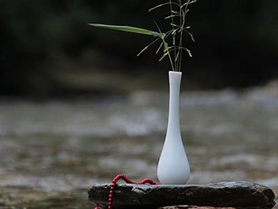 护生的习惯 | 居家篇 护生的习惯 | 居家篇