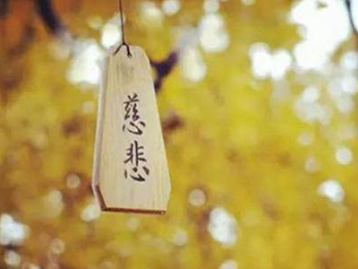 护生的习惯 | 忏悔篇 护生的习惯 | 忏悔篇