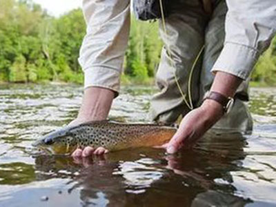 ʥ�Ϸ�ʦ������Ӧ�����شȱ��ں� ������ʽ